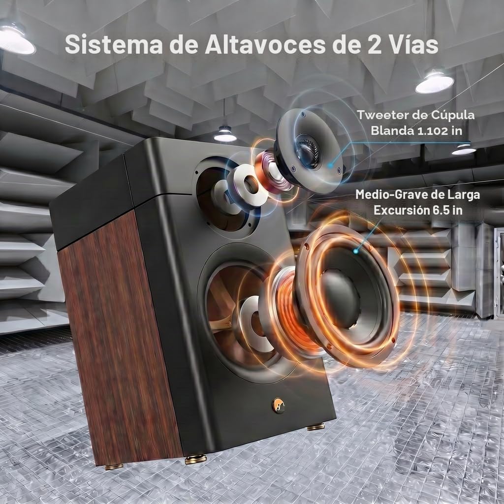 HiVi-Swans Altavoces pasivos para estantería D3.1 MKII, par de altavoces domésticos de 2 vías de 6.5 pulgadas, necesita amplificador o receptor para funcionar