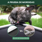 FXW TitanNest - Cama elevada para perros extra pequeños a prueba de