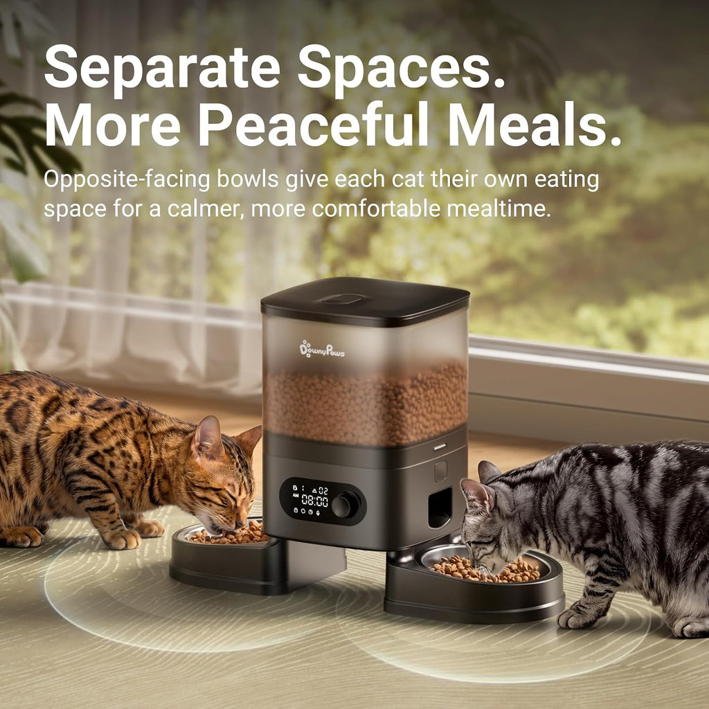 DownyPaws Alimentador automático para gatos 2 gatos, dispensador