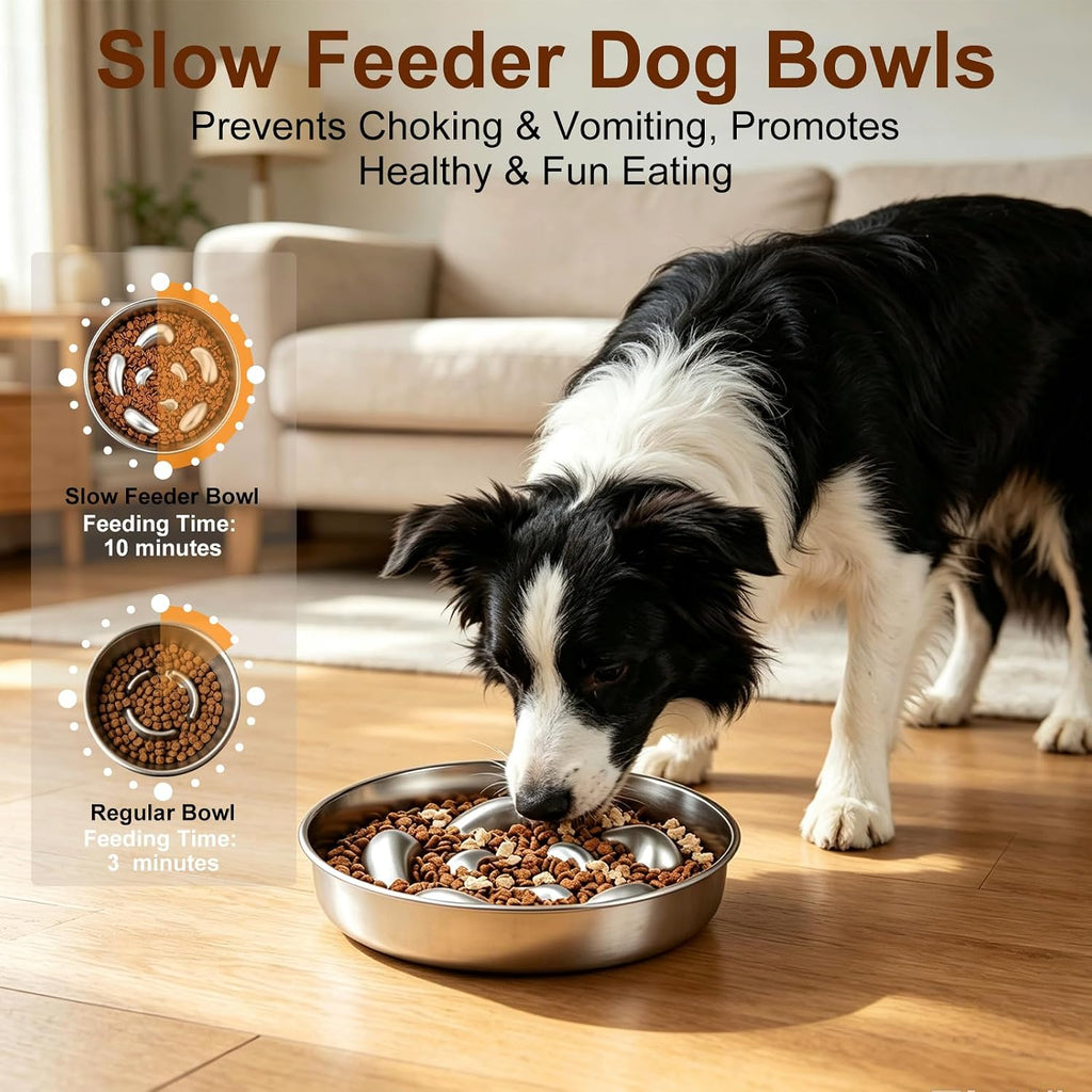Tazones para perros de alimentación lenta de acero inoxidable 304
