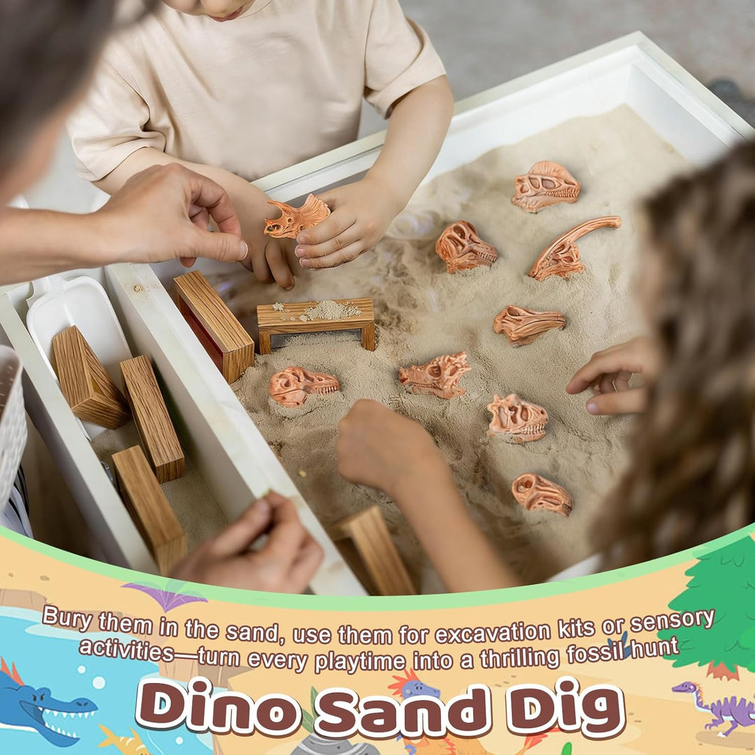 Zealor Hueso de dinosaurio de 24 piezas para caja de arena