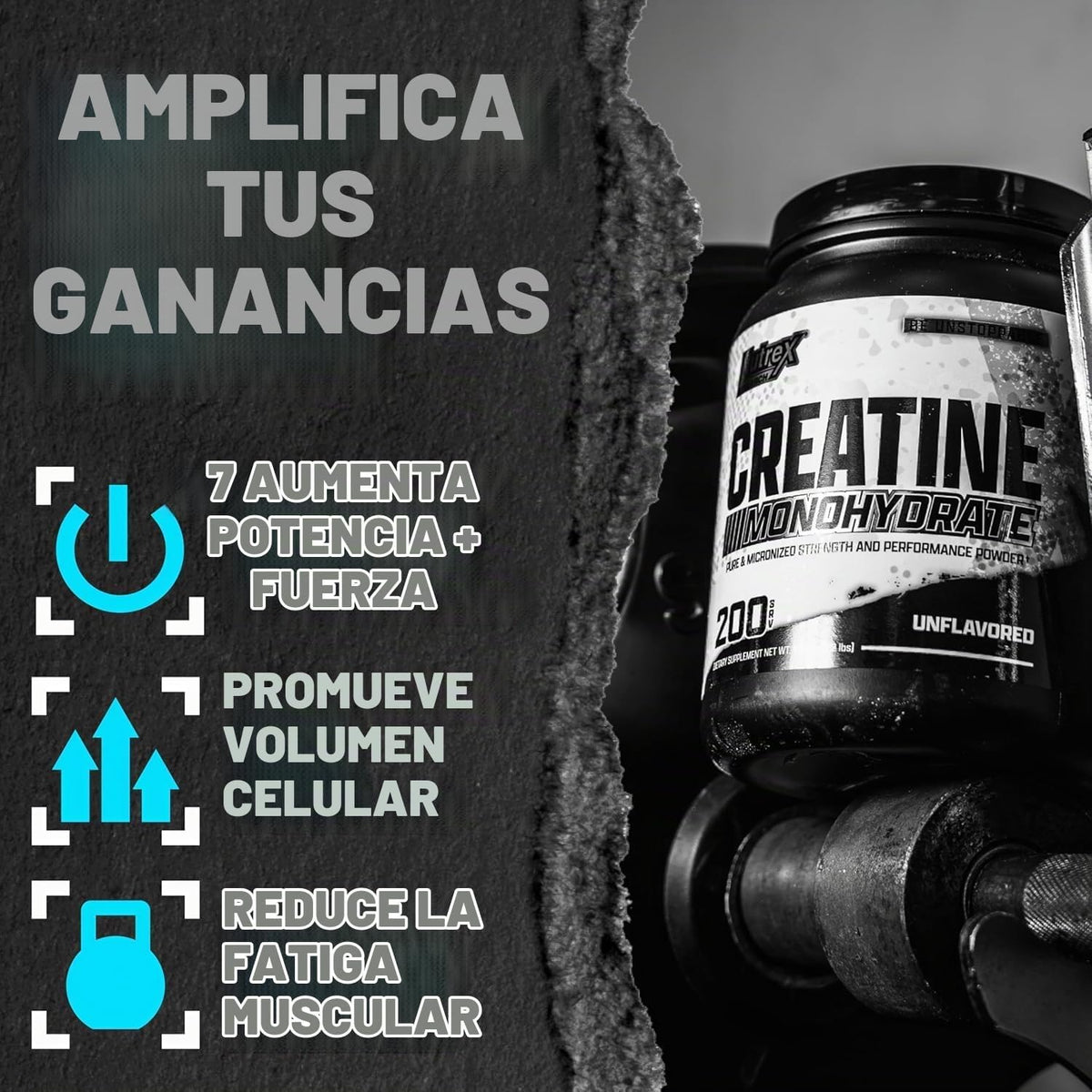 Nutrex Research Polvo de monohidrato de creatina ultra pura sin sab...