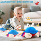 Interactive Crawling Crab Baby Toy, Musical Toy con 40 Songs & Recording