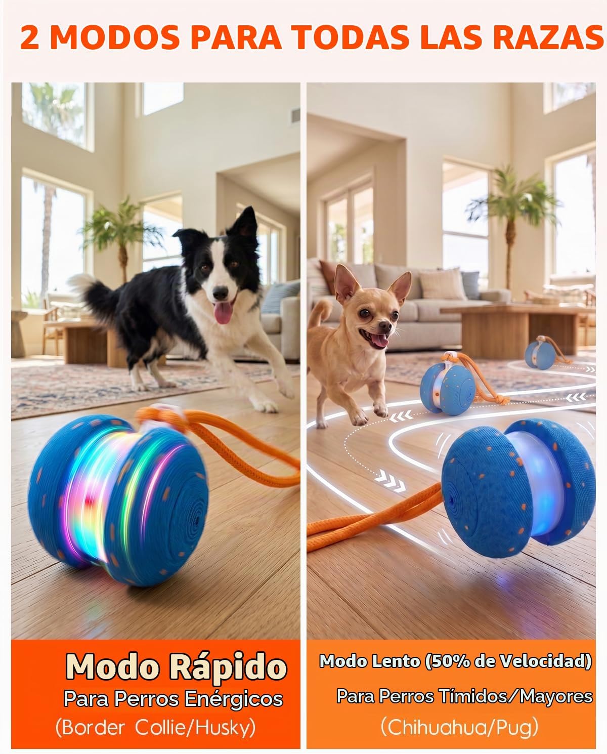 Juguetes interactivos para perros, bola automática de movimiento
