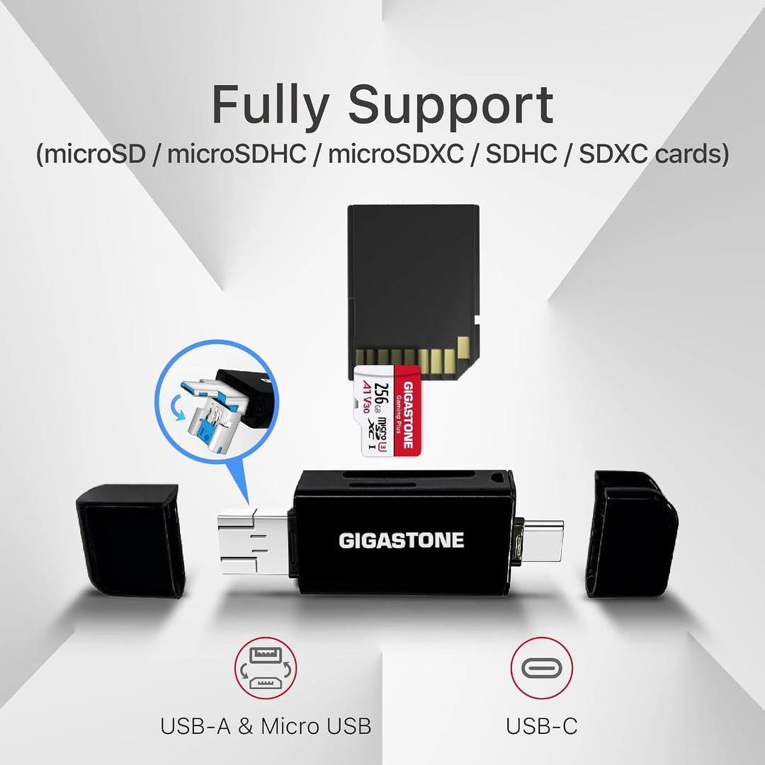【Recuperación de Datos de 5 Años】Tarjeta SD GIGASTONE de 128GB con...