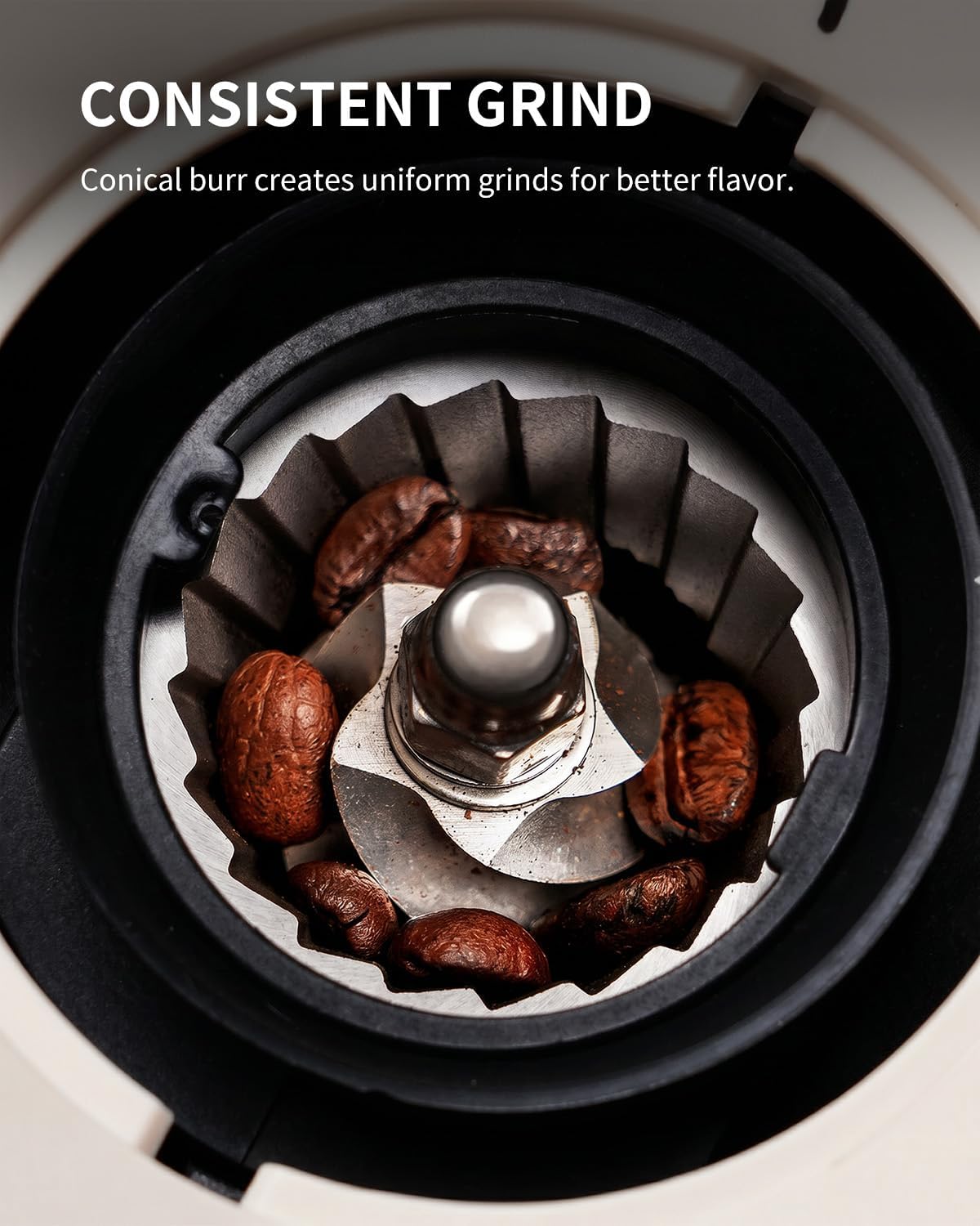 KIDISLE Molinillo de café cónico 2.0, molinillo eléctrico de granos de café para molienda precisa, 35 ajustes, selector de 2 a 12 tazas, diseño antiestático para uso doméstico, color beige