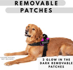 ShawnCo Essential Pro Arnés para Perros, Chaleco Anti-Tirones para Mascotas con 3 Clips para Correa y Parches Laterales Reflectantes Removibles, Arnés Ajustable y Acolchado para Perros Pequeños
