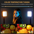 Ailight Luz de vídeo LED magnética, CRI 98+ 2500-9000K - Negro