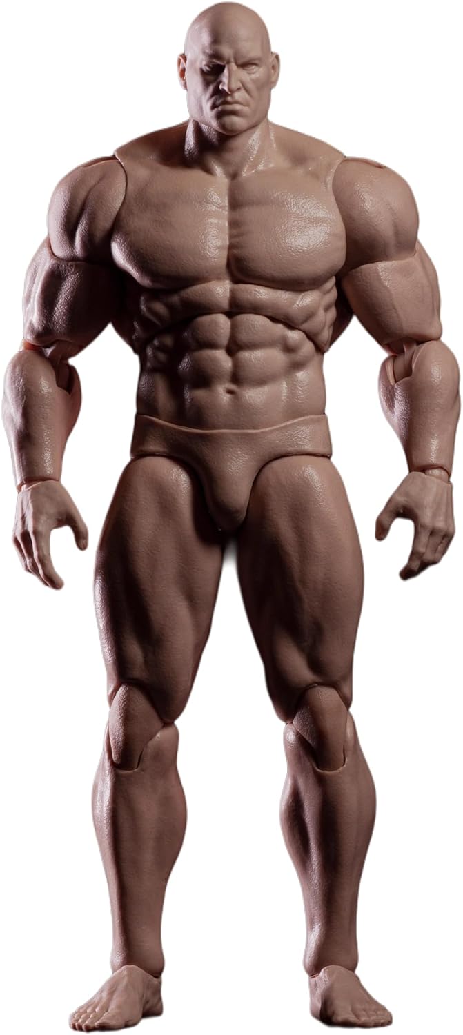 Fremego Figura de acción masculina a escala 1\/12, 6 pulgadas, súpe...