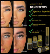ARYANA NEW YORK Kit de laminación de cejas | Kit de elevación de ce...