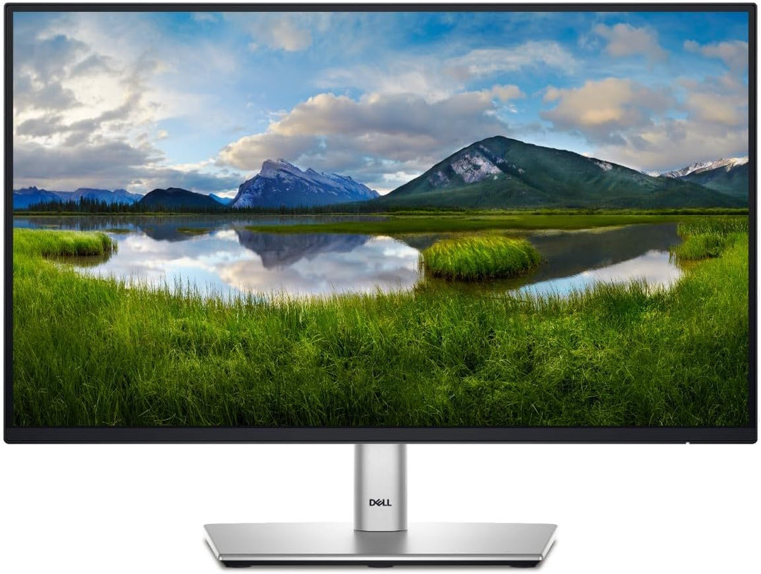 Monitor Dell P2425H LED Full HD de 24" P2425H