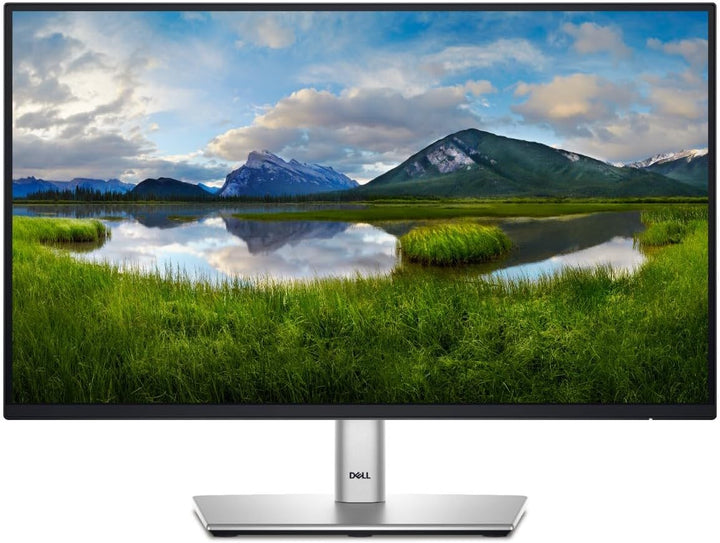 Monitor Dell P2425H LED Full HD de 24" P2425H