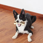 Paquete de 3 juguetes masticables para perros para masticadores agresivos