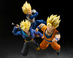 TAMASHII NATIONS - Dragon Ball Z - Super Saiyan Vegeta, Super Saiyan Vegeta (Peligroso Orgullo)