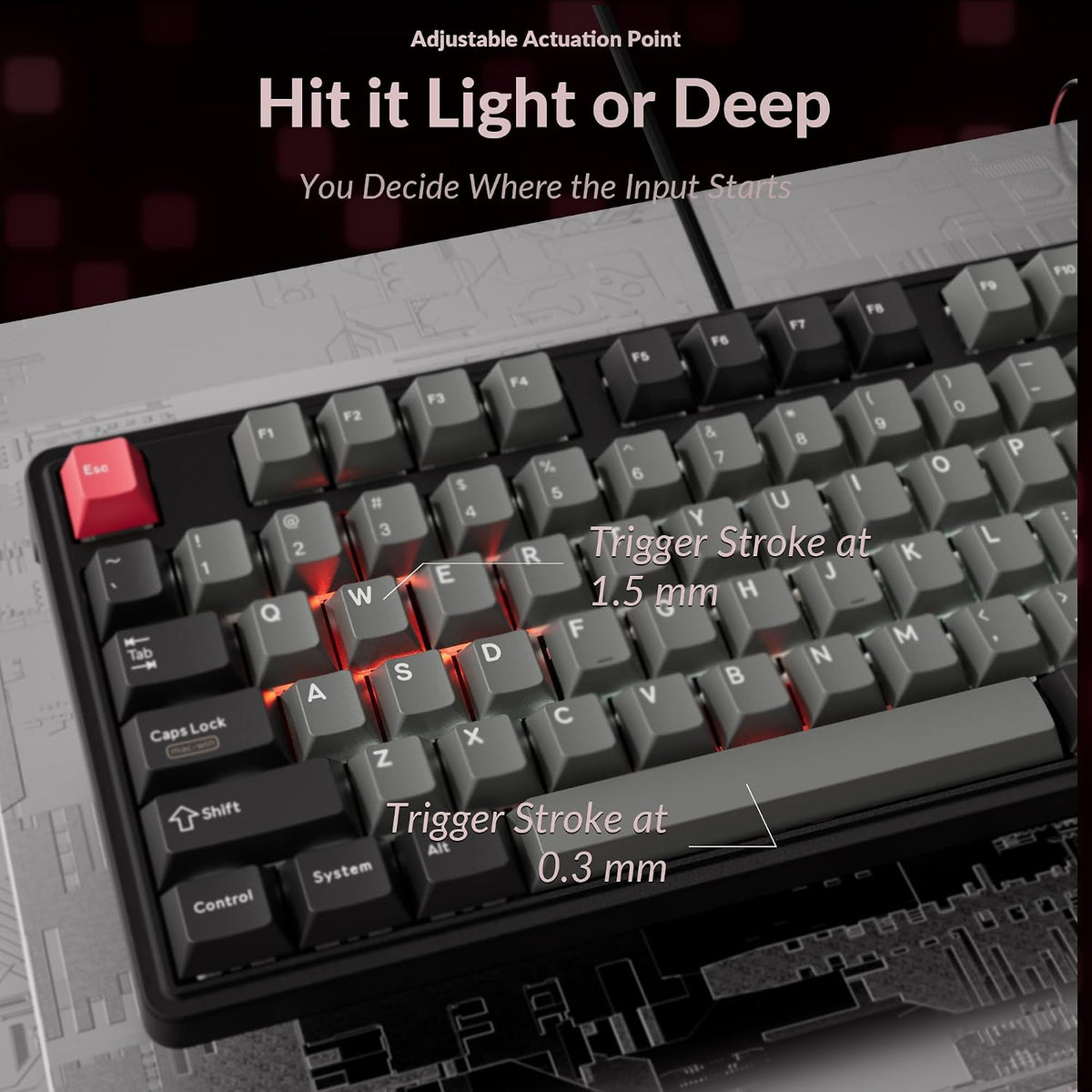 Keychron Teclado mecánico con cable C3 HE TKL (80% de diseño), inte...
