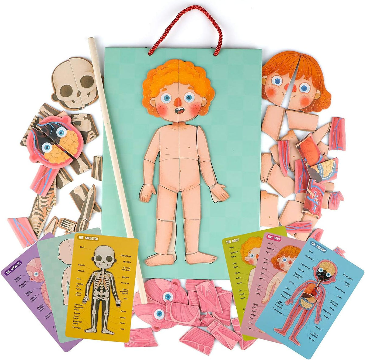 Rompecabezas de cuerpo humano para niños pequeños, 90 piezas