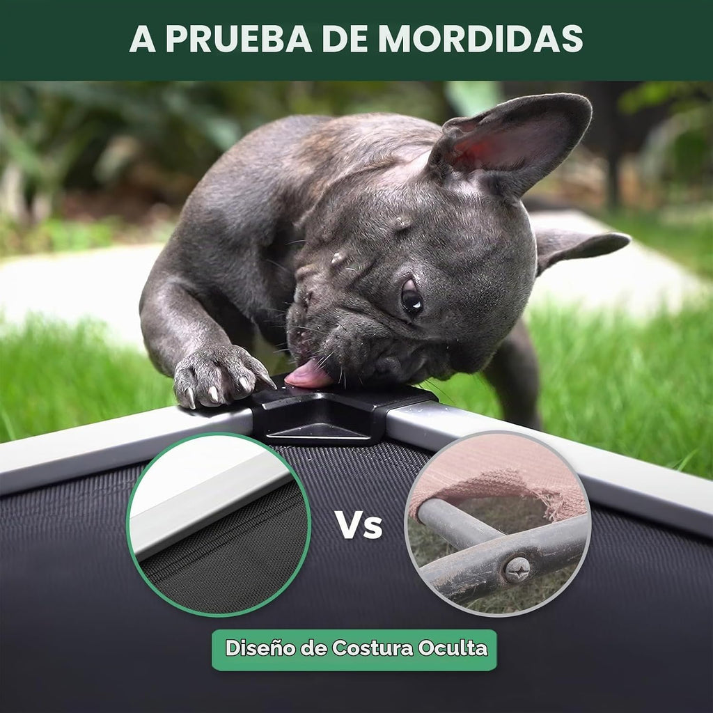 FXW TitanNest Cama Elevada para Perro Mediano, a prueba de masticación y con enfriamiento