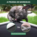 FXW TitanNest Cama Elevada para Perro Mediano, a prueba de masticación y con enfriamiento