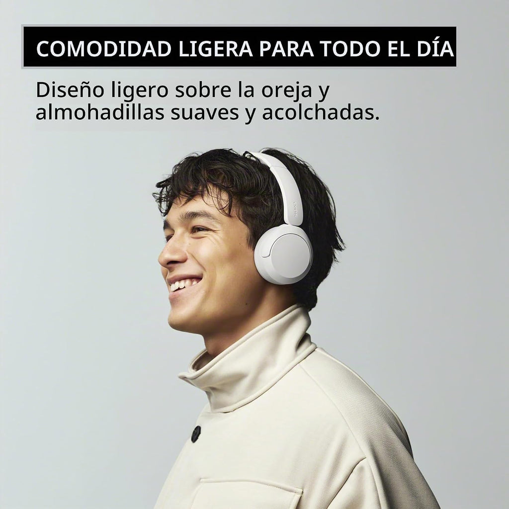 Sony WH-CH530 - Auriculares inalámbricos Bluetooth con micrófono, color