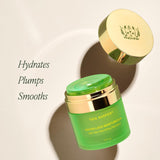 Crema hidratante con bloqueo de agua Tata Harper | Gel-Crema con Ác...
