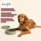 ¿Deberíamos Ir? Cuenco de agua para perros - El plato perfecto sin derrames, menos desorden, no se vuelca, cuenco de agua y comida, de silicona pura con ventosa, capacidad para 5 tazas, 19 cm de ancho
