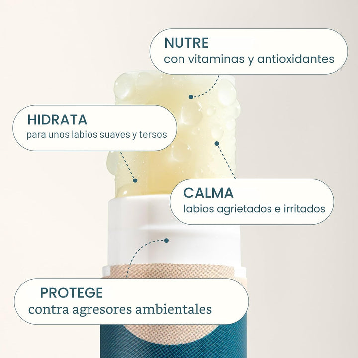 Cliganic Set de bálsamo labial orgánico - 6 sabores tropicales - Hi...