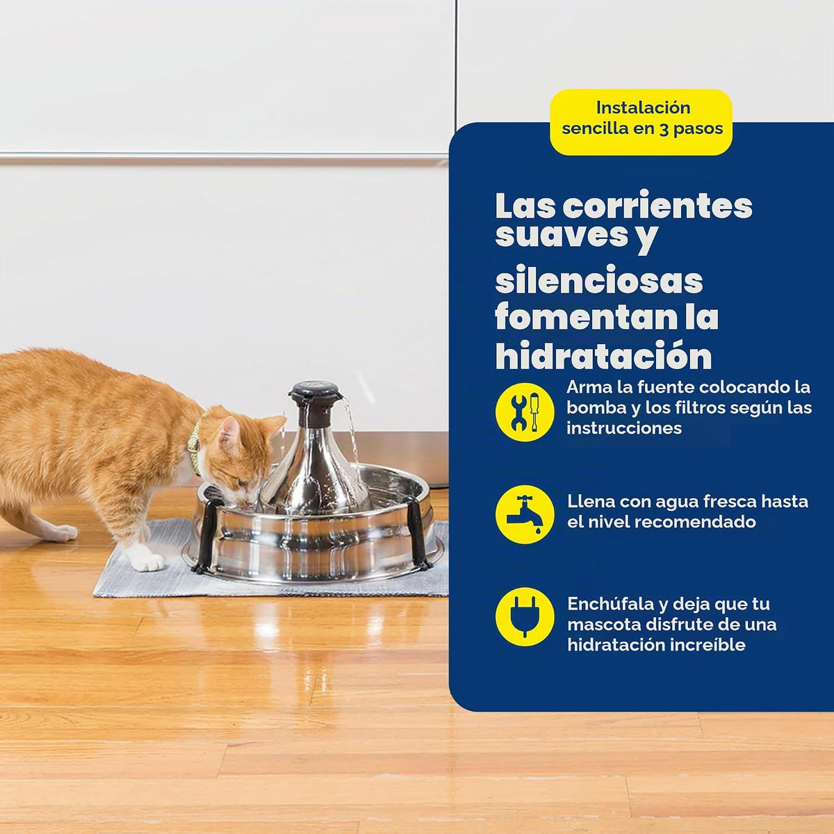 PetSafe Drinkwell Fuente inoxidable para múltiples mascotas, rojo, 8 libras (PWW00-13705)