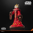 Star Wars Black Series Figura de acción de la Reina Amidala