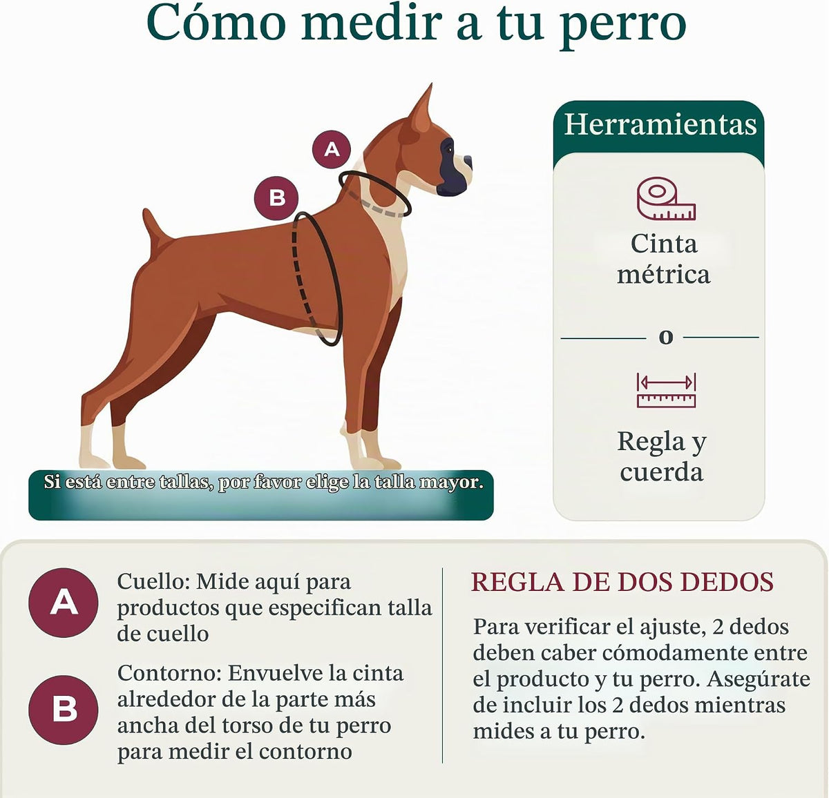 Sporn Arnés sin tirones para perro, arnés de malla de nailon duradero para perros medianos, diseño sin estrangulamiento, mangas de sujeción acolchadas, ajuste ajustable, fácil de poner y quitar, ideal para razas medianas, azul