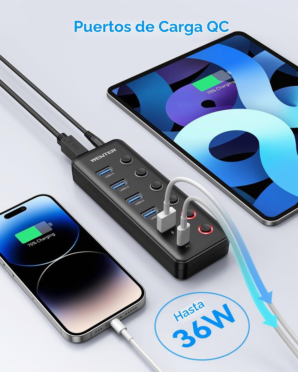 WENTER, hub USB 3.0 de 6 puertos, alimentado