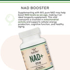 NAD+ Antienvejecimiento y Regeneración Celular | 500mg de NAD Plus