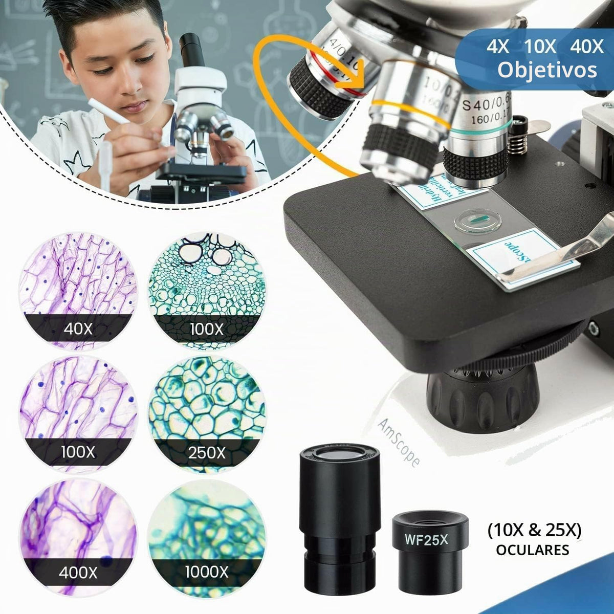 AmScope Microscopio monocular compuesto inalámbrico digital M158C-2L-E1, oculares WF10x y WF25x, aumento de 40x-1000x, iluminación LED superior e inferior con reóstato, Brightfield, condensador de una