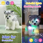 BSTAOFY Cachorro de husky de peluche musical de 12''