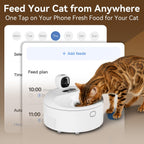 Comida húmeda - Comedero automático para gatos con cámara, 5 comidas