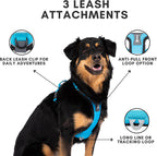 ShawnCo Basecamp Arnés para Perro, Chaleco para Mascotas Sin Tirones con 3 Clips para Correa, Arnés Acolchado, Reflectante, Ligero y Ajustable con Asa para Perros Pequeños, Medianos y Grandes (Verde