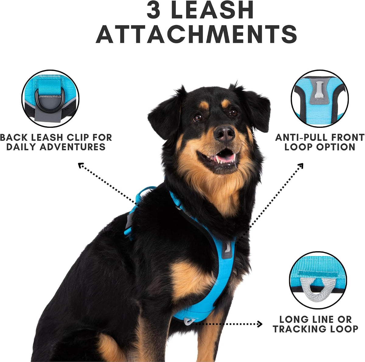 ShawnCo Basecamp Arnés para Perro, Chaleco para Mascotas Sin Tirones con 3 Clips para Correa, Arnés Acolchado, Reflectante, Ligero y Ajustable con Asa para Perros Pequeños, Medianos y Grandes (Verde