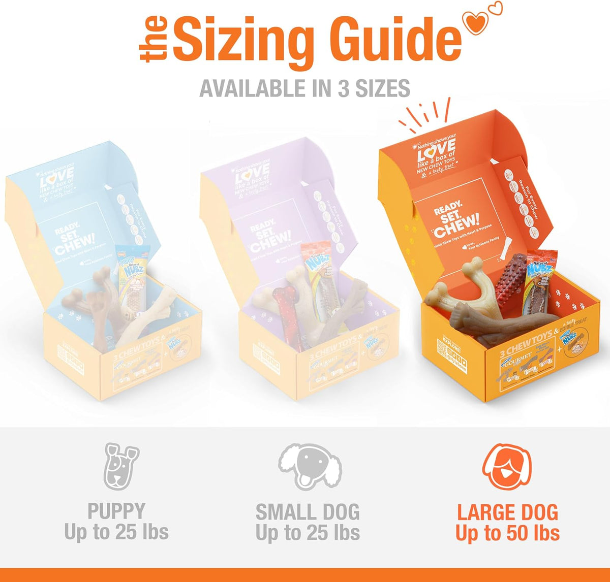 Nylabone - Caja de regalo para perros, juguetes masticables fuertes y
