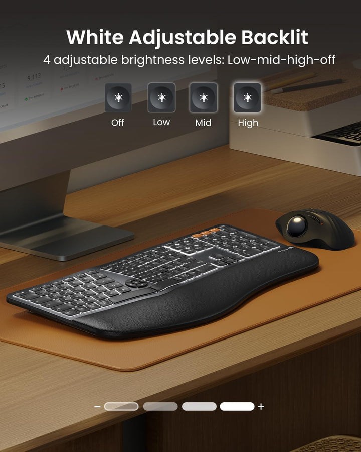ProtoArc Teclado ergonómico Bluetooth retroiluminado, EK01 Plus, te...