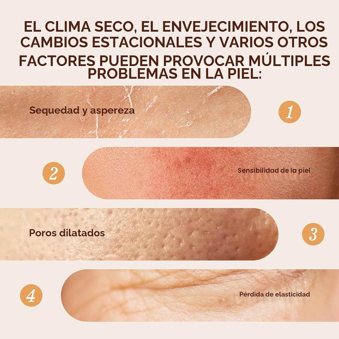 Set hidratante de cuidado de la piel de arroz coreano \u2013 Radian...