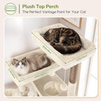 Globlazer Torre Alta para Gatos - Casa extragrande para gatos, S77D, beige