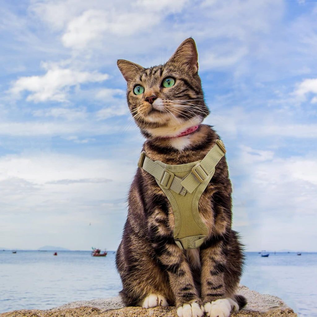 AIWAI Arnés para gatos y correa para caminar, a prueba de escapes, chaleco suave y ajustable para gatos, fácil de controlar, malla suave transpirable con asa de control para gatos grandes, perros pequeños, regalo con parche