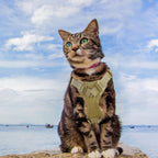 AIWAI Arnés para gatos y correa para caminar, a prueba de escapes, chaleco suave y ajustable para gatos, fácil de controlar, malla suave transpirable con asa de control para gatos grandes, perros pequeños, regalo con parche