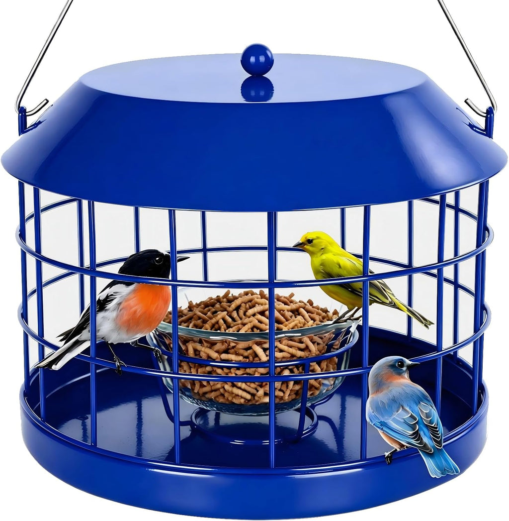 Bluebird - Comedero para gusanos de harina con cuenco de vidrio