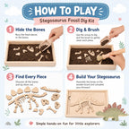 Kit de excavación arqueológica de excavación de dinosaurios, kit de excavación de fósiles para niños, esqueletos de dinosaurios, huesos y rompecabezas con caja de almacenamiento de madera, juguetes STEM para niños y niñas (Stegosaurus)