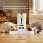 Comedero Automático para Gatos 2 Gatos, Dispensador de alimento seco de 7L con Bol de Doble