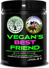 Vegan's Best Friend - Multivitamínico a base de plantas para ho...