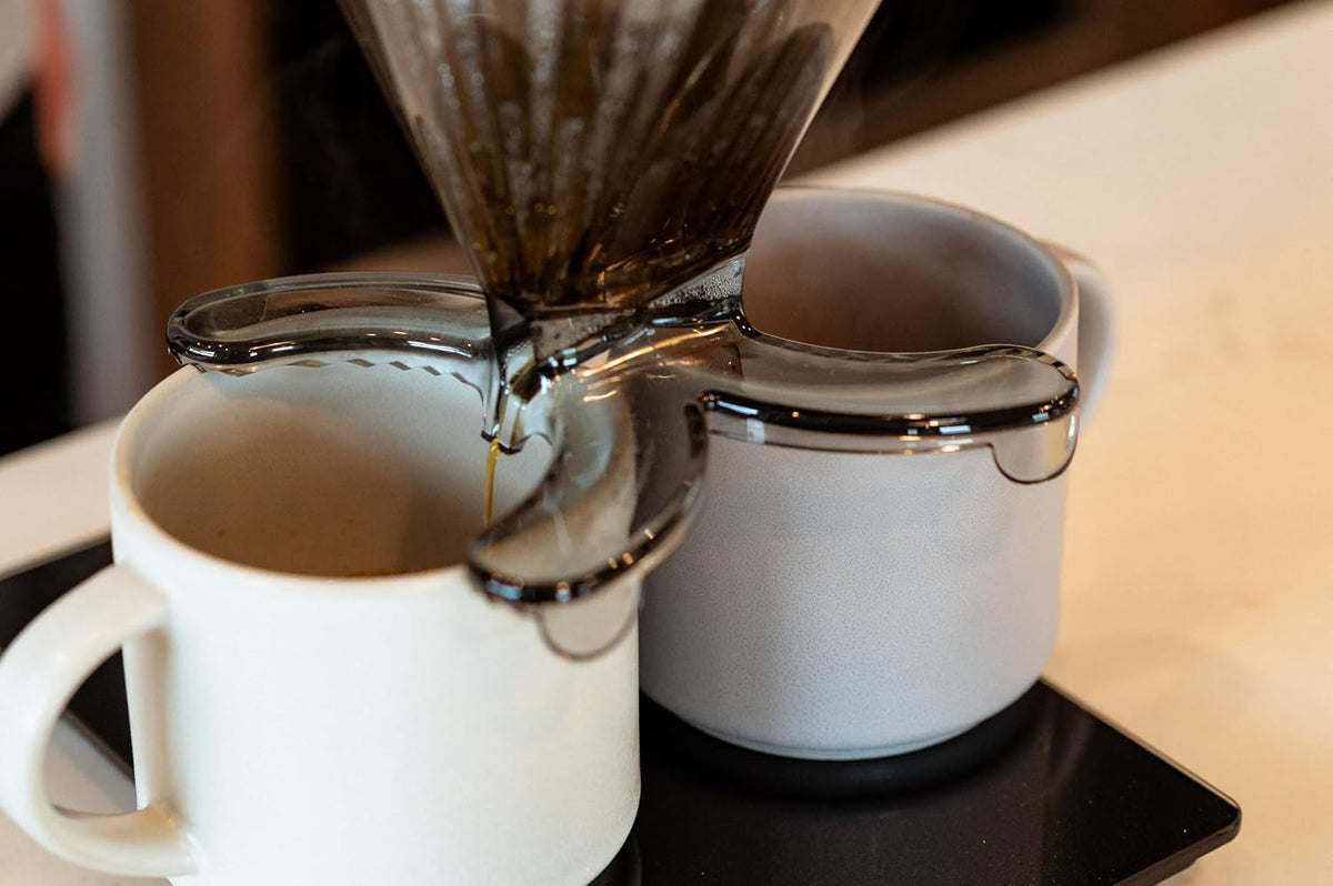 DIVVI Gotero de doble taza para verter sobre café, prepara una o dos tazas a la vez, no necesita jarra, paquete de 25 filtros de cono de café #4, 100% Tritan sin BPA, portátil y apto para lavavajillas