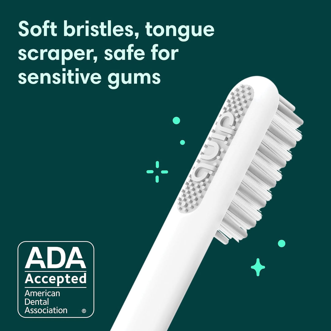 Quip - Cepillo de dientes sónico para adultos con temporizador - In...