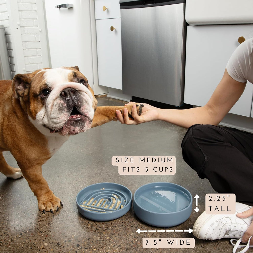 ¿Deberíamos Ir? Cuenco de agua para perros - El plato perfecto sin derrames, menos desorden, no se vuelca, cuenco de agua y comida, de silicona pura con ventosa, capacidad para 5 tazas, 19 cm de ancho