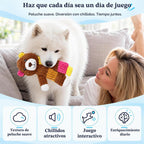 LECHONG 5 juguetes chirriantes para perros, juguetes grandes arrugados para perros grandes, medianos y pequeños, juguetes para cachorros para mantenerlos ocupados. Paquete de juguetes para perros de